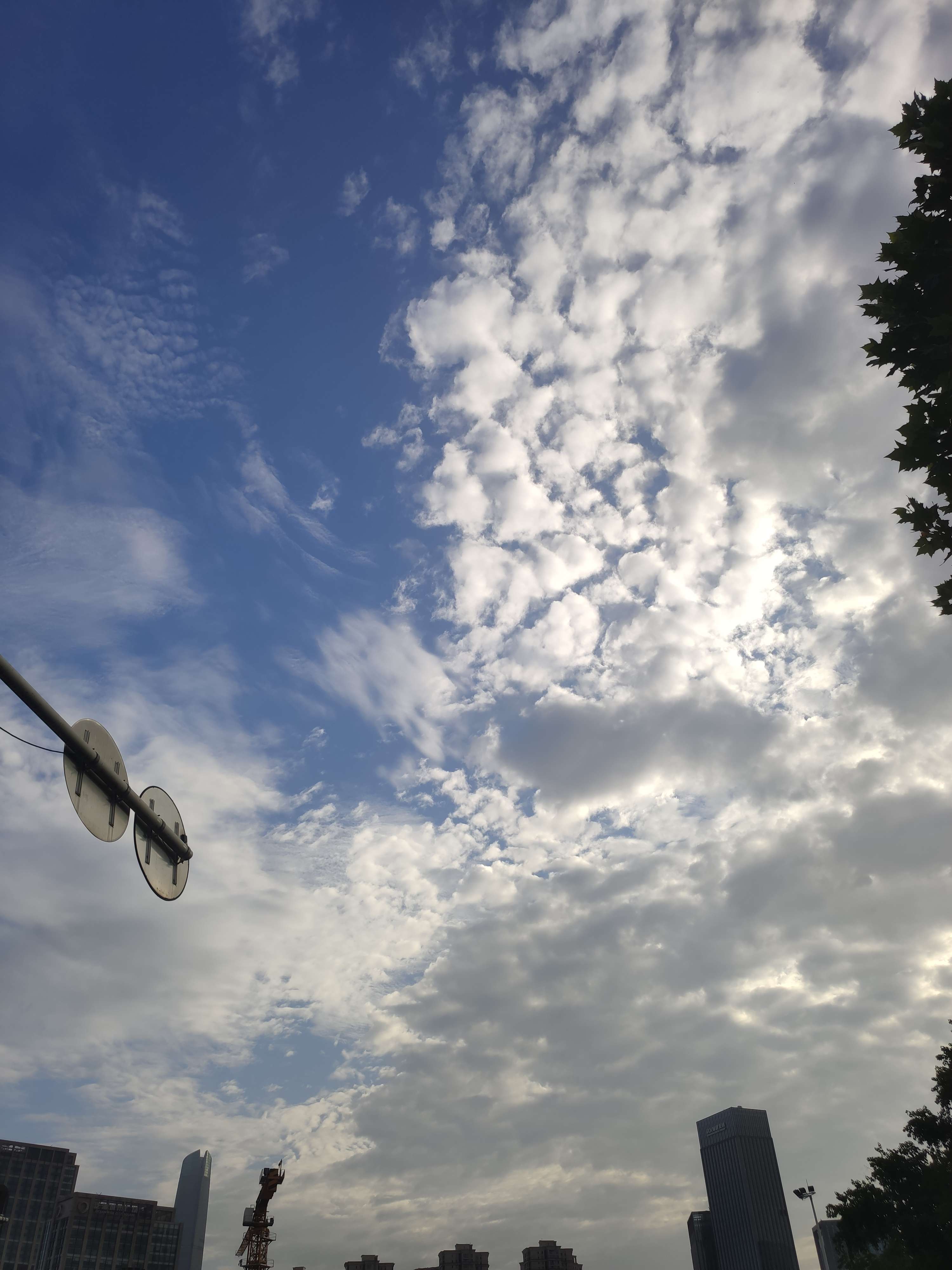 取名字好难 的想法: 多云 | #天空# #出门过夏天# 多云,最近… - 知乎