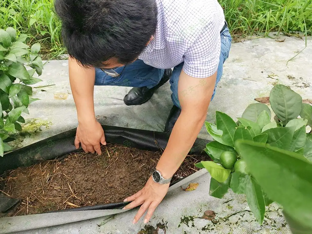 防草布的使用方法和注意事项- 知乎