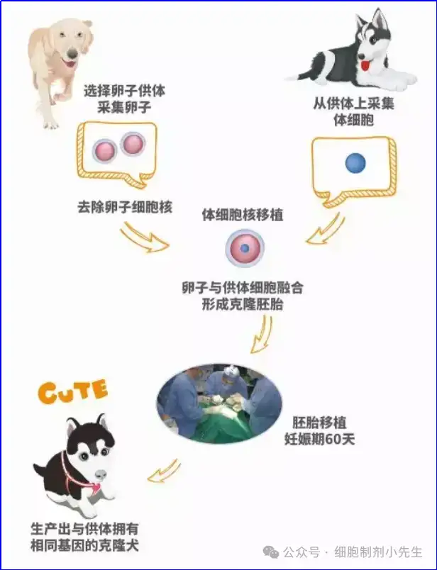 v2-a56781f5e76dd156598688052ad66c2d_1440w.webp