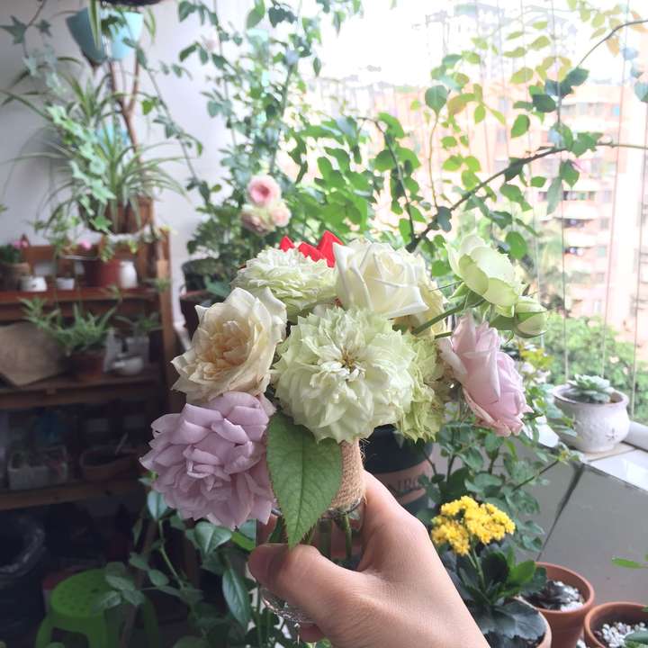 植物种植 为什么真正喜欢养植物的男生比女生多?(图4) 植物种植 为什么真正喜欢养植物的男生比女生多?(图4)