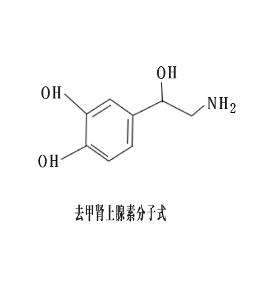 在化学结构上,交感神经兴奋后所释放的主要递质就是—去甲肾上腺素