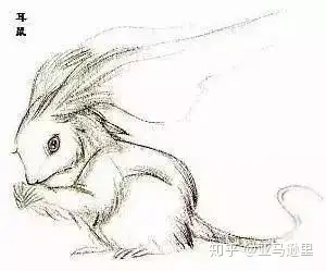 《山海经·西次三经》:"翼望之山,有鸟焉,其状如乌,三首六尾而善笑