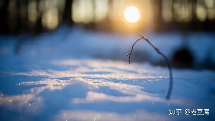 二十四节气歌（二十四节气歌古诗意思及解释）