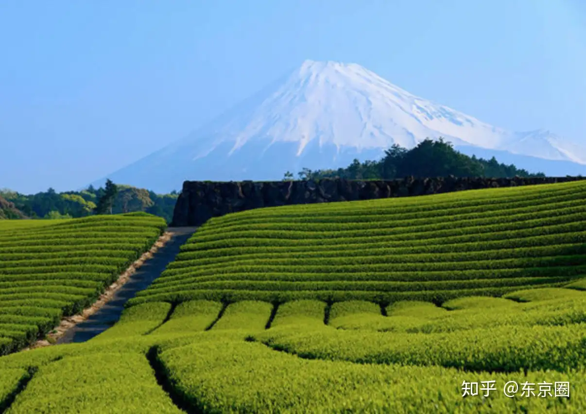 富士山攻略第二弹：赤富士、倒富士代表好运？几个让你更认识