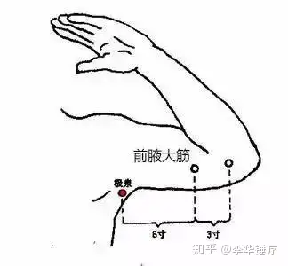 推拿按摩师的秘技分享如何拨5个部位的大筋