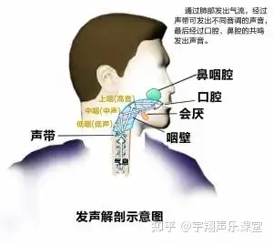 唱歌时腔体打开示意图图片