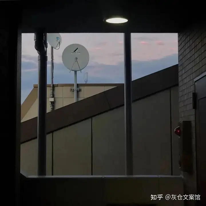 那些温柔又抑郁的小众文案