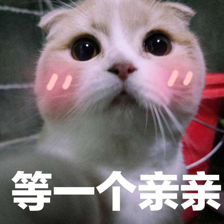 有个会霸道,会撒娇的男朋友是种怎样的体会?