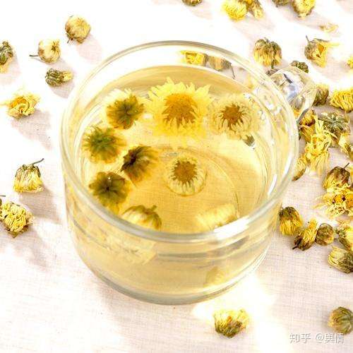 胎菊花茶的功效与作用及禁忌都有哪些 一起看下面文章 都介绍了 知乎