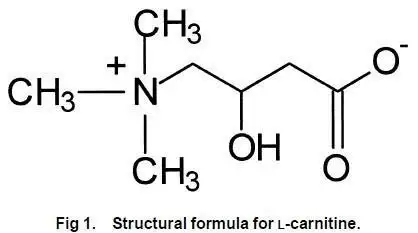 大白课服用左旋肉碱相当于吃肉不仅不能减肥还有毒
