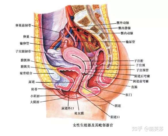 私密硬核干货 收藏版 知乎