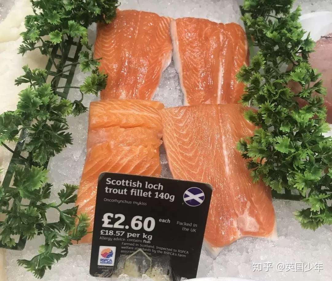 除了fish And Chips 在英国还能吃到什么鱼 知乎