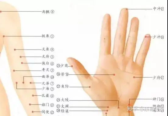 带你学习各部位的经络按摩丨经络按摩步骤