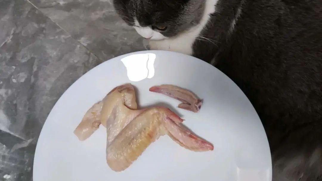 千万不要给猫吃这种骨头！