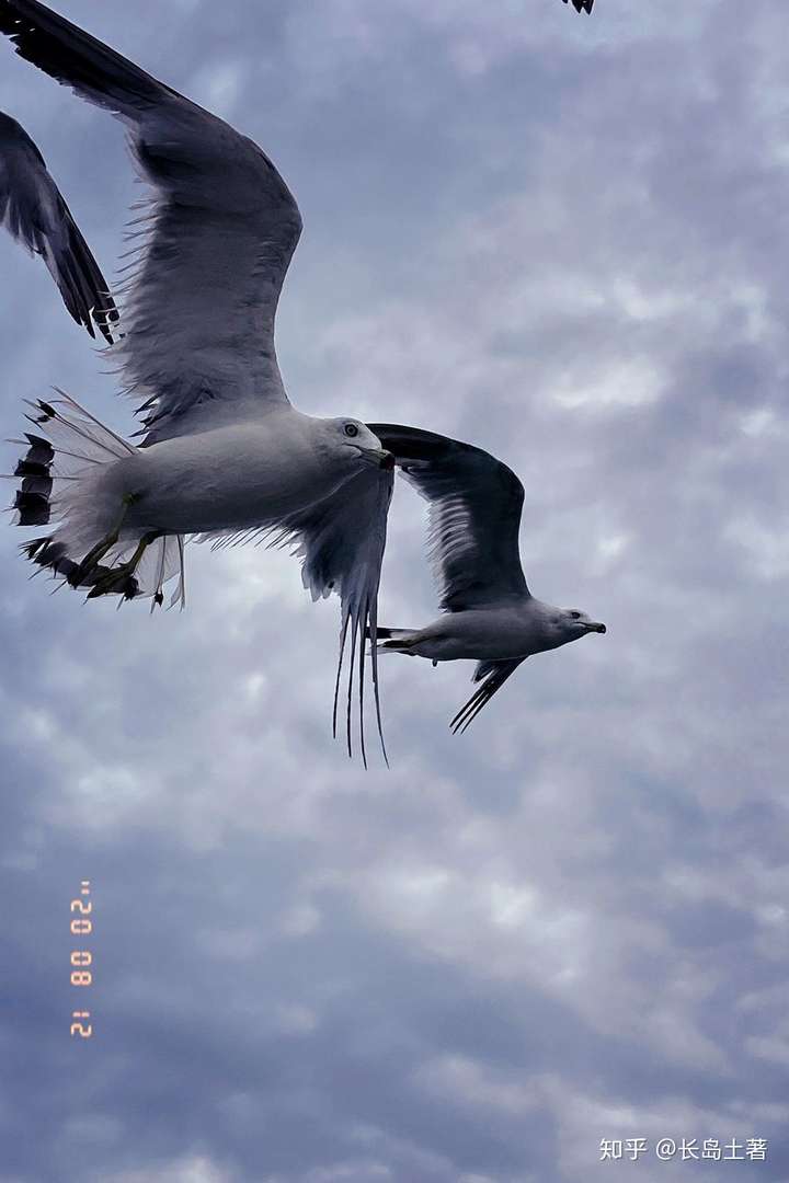 长岛天气预报15天预报