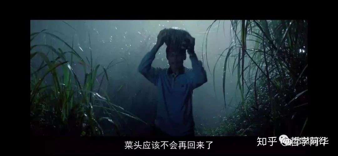 荐电影 阳光普照 知乎