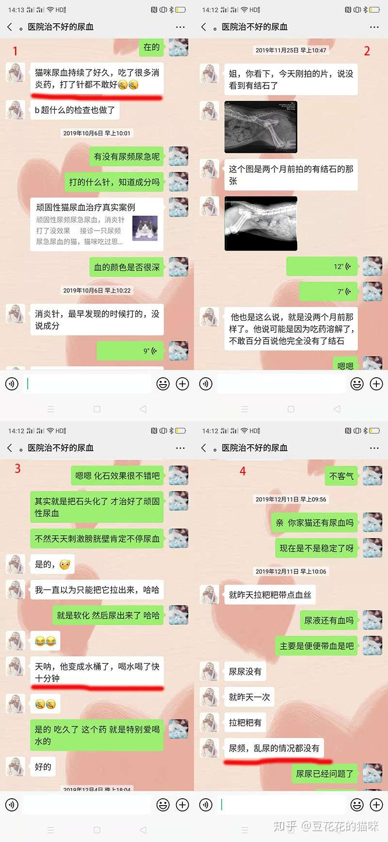 顽固性猫膀胱炎尿血彻底治愈的方法- 知乎