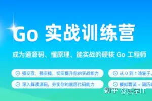 极客-Go实战训练营|全集完结|网盘无密- 知乎