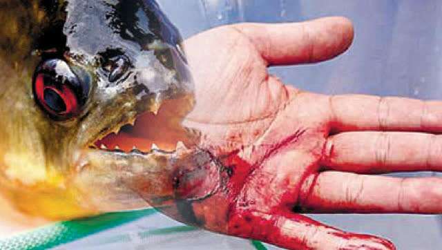 如何看待李小璐深夜发文称人非圣贤孰能无过曾因舆论