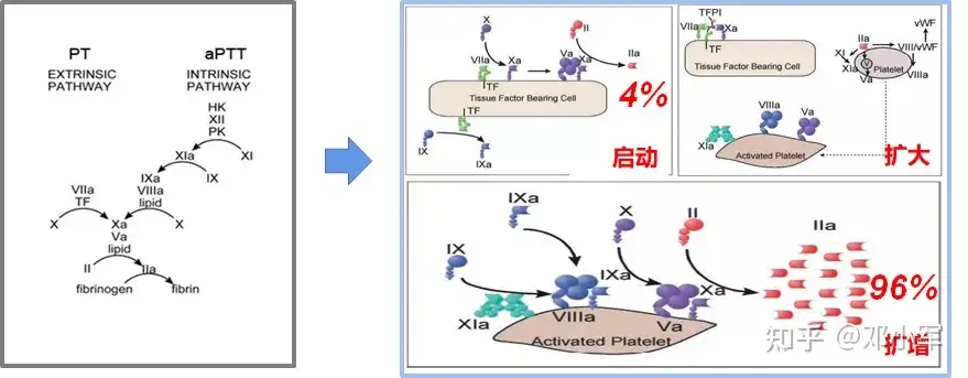 凝血和血小板功能分析仪在输血科的应用记第三次群学术交流- 知乎