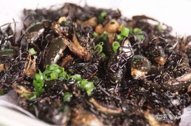 有哪些好吃的昆虫