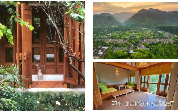 青城山 六善酒店 拜水问道 在苍郁名山中乐享逍遥 知乎