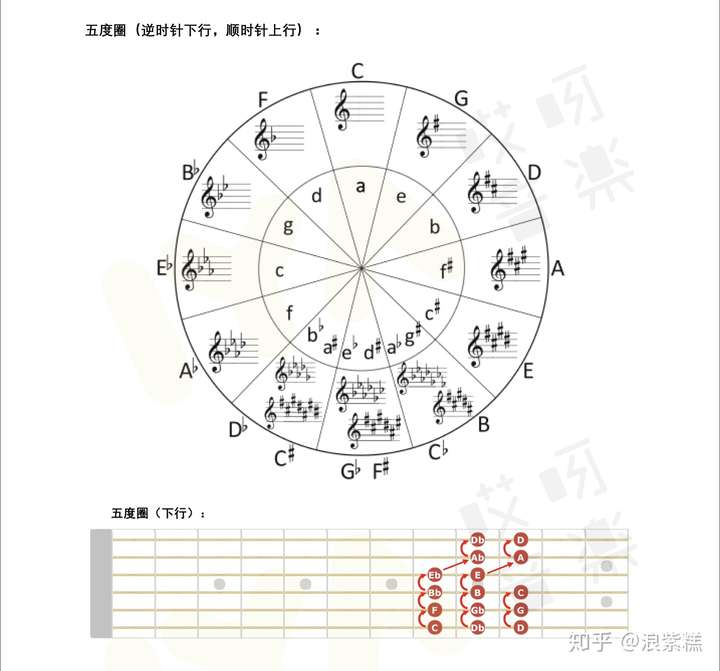 吉他cadeg系統五度圈大三和絃把位圖