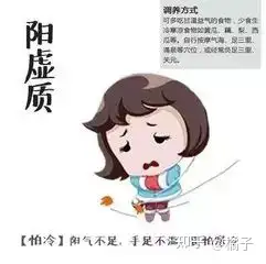 学到了吗(人体体质主要有哪些)人的体质有哪九种2023已更新(实时信息)-第1张图片-鲸幼网