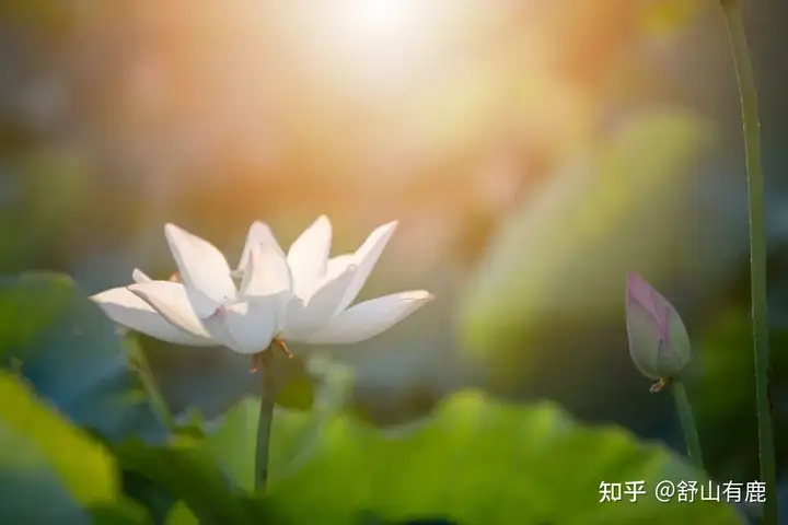 一个人，让你出现这四种感觉，那是老天暗示你要远离他