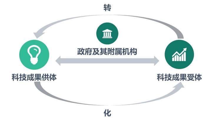 广州生物技术公司怎么选？从实验技术服务到科研合作的实用指南
