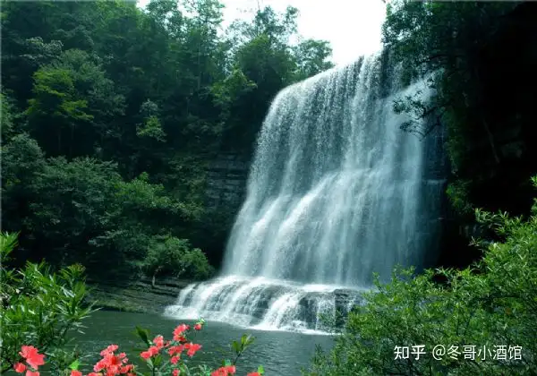 泸州黄荆老林景区-避暑胜地