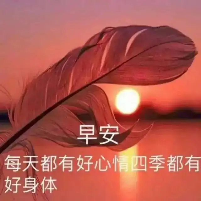 早上好超级漂亮动态祝福图片带字，暖心的早安问候图片