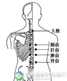 背部腧穴的诊断