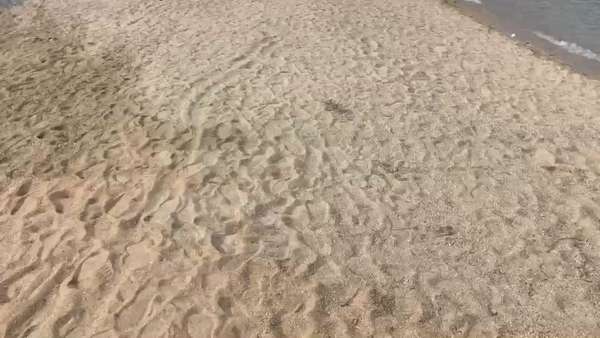 旅游视频攻略