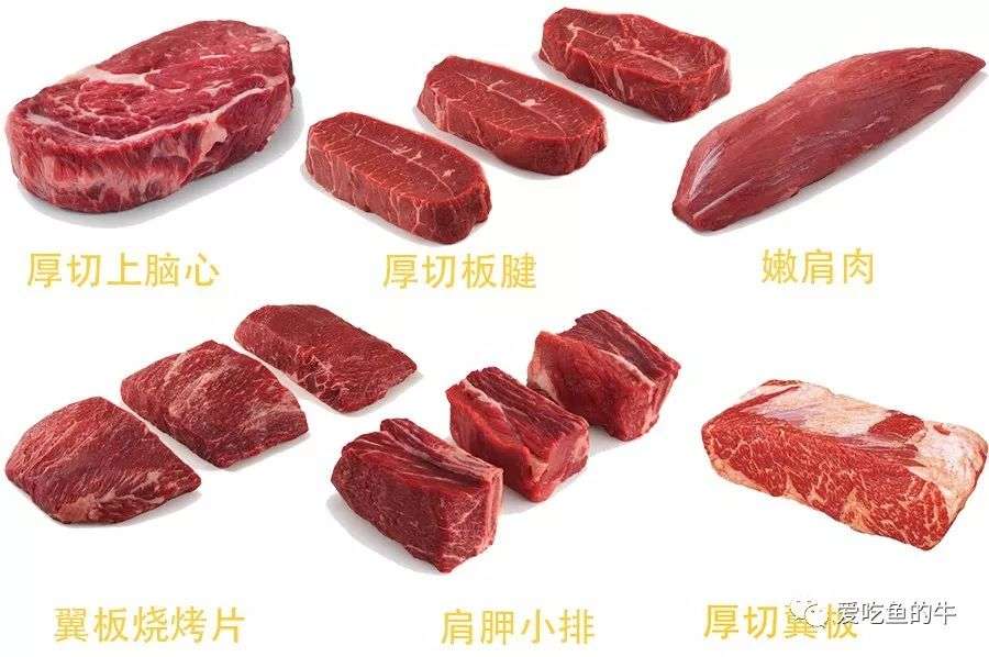 牛排部位详解 让你像屠夫一样熟知牛肉的终极指南 上 知乎