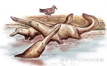 海豚的祖先进化图图片