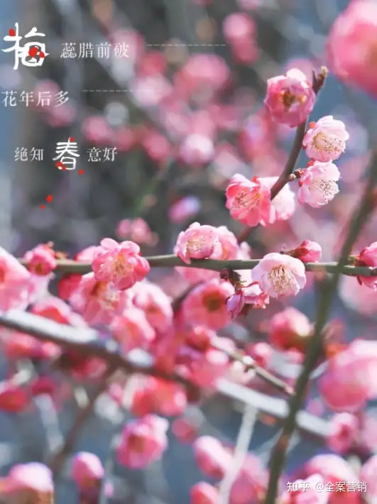 争创天府旅游名县｜再见2022，细数那些时光里的小美好