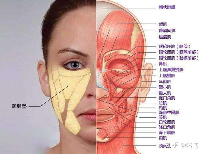 苹果肌太大了该如何是好
