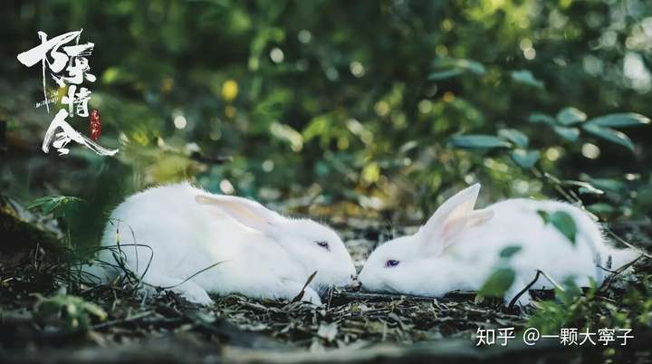 《魔道祖師》+陳情令，你不知道的小祕辛 戲劇 第8張