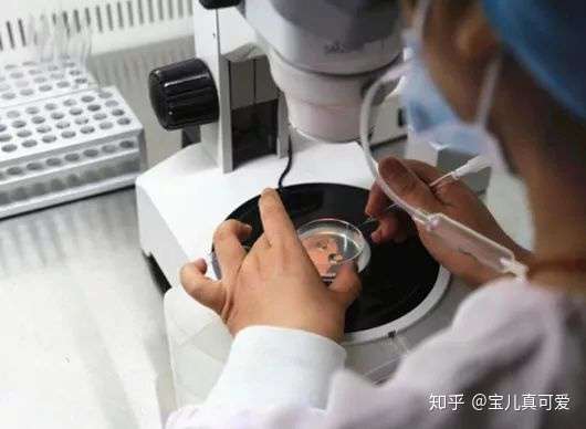 试管前需要，试管前需要吃辅酶Q10吗  第1张