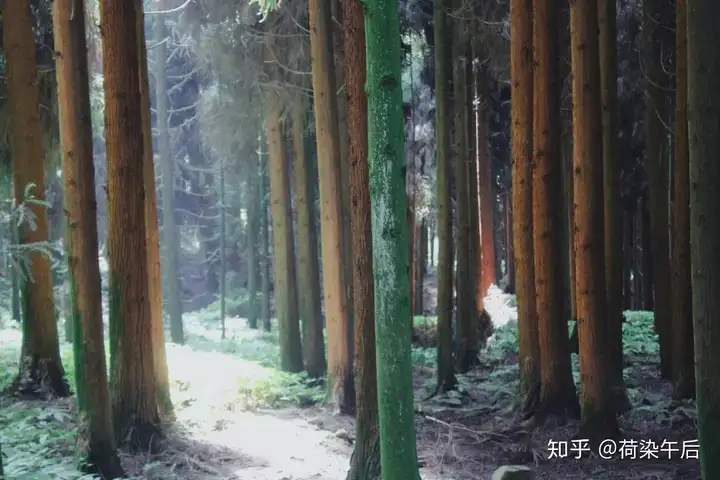 神瀑沟回顾|暑假纳凉耍水好去处