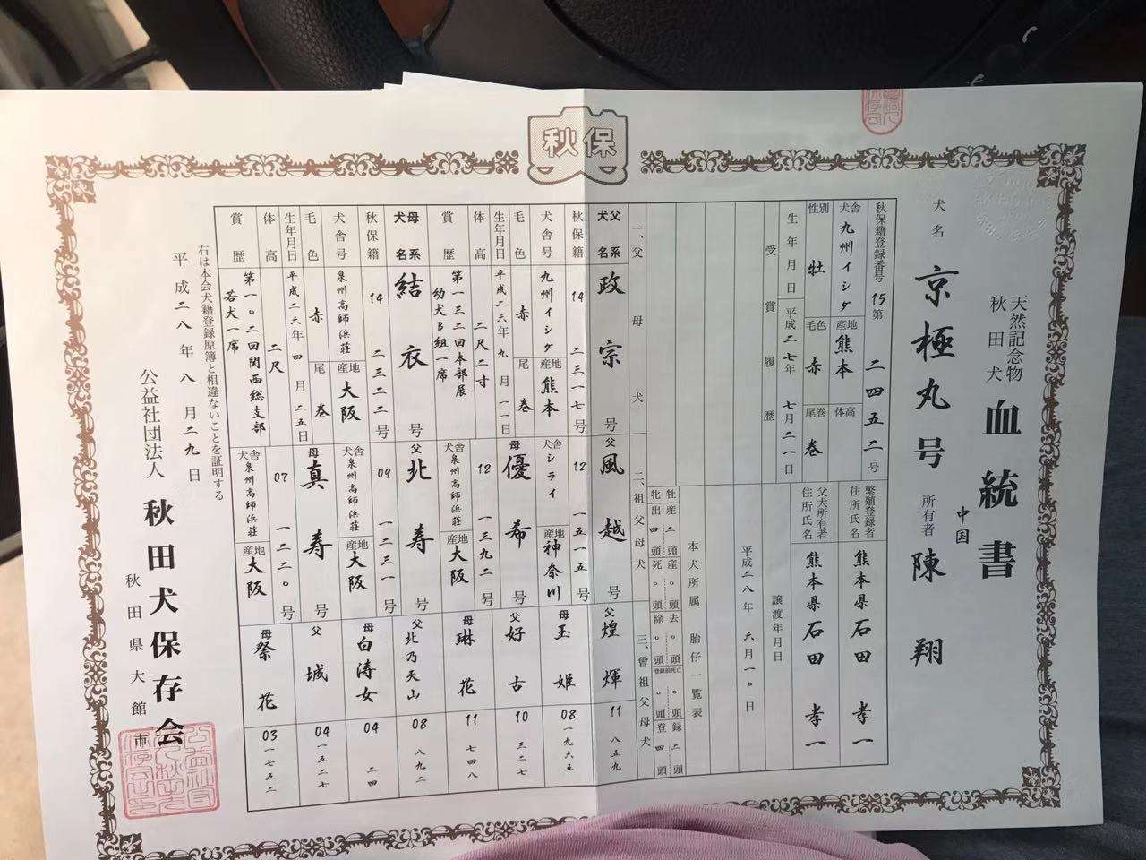 知乎专栏