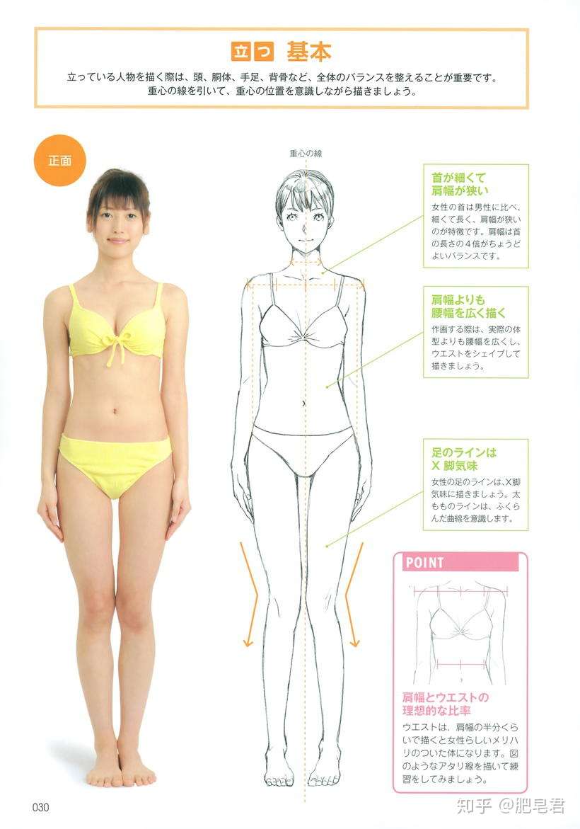 看完这篇 还怕不会画人体吗 知乎