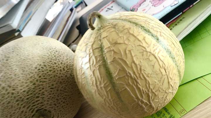 请问纹路突出的这种瓜叫什么?是什么品种呀?