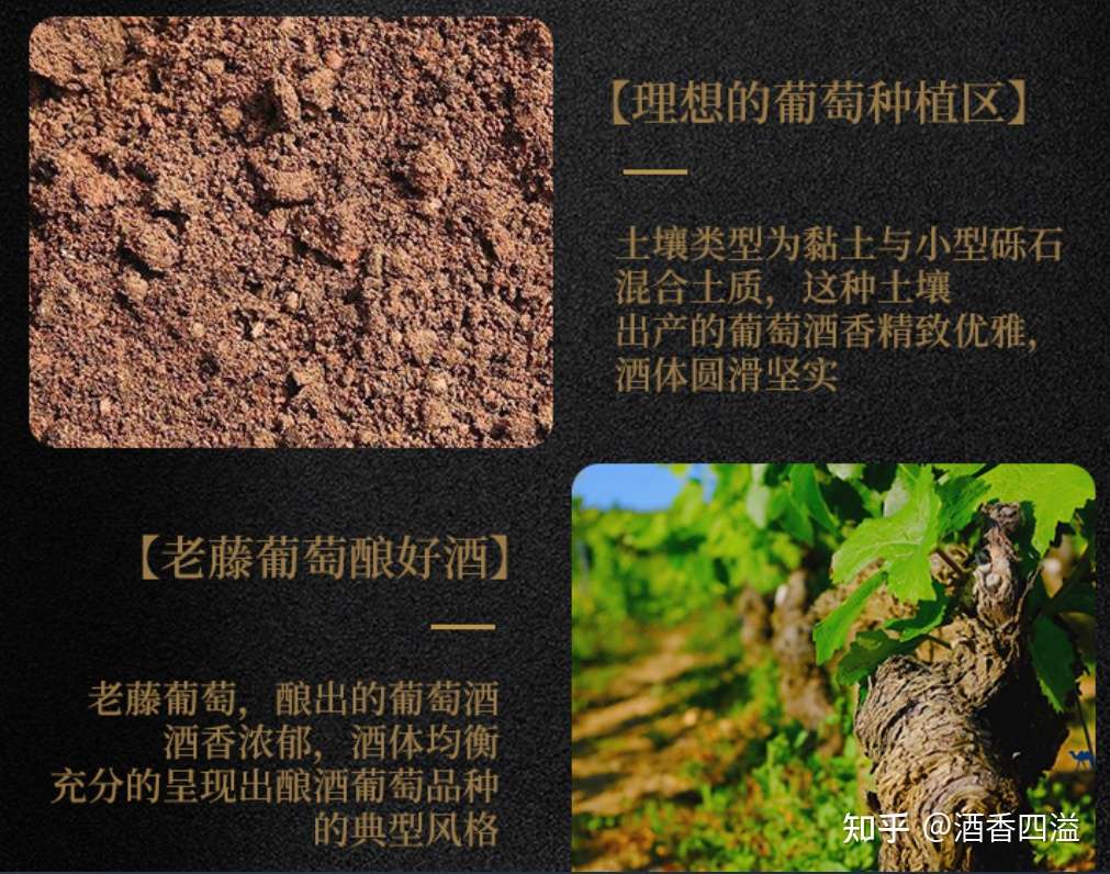 22年好喝的桂花酒推荐 桂花陈酒 知乎