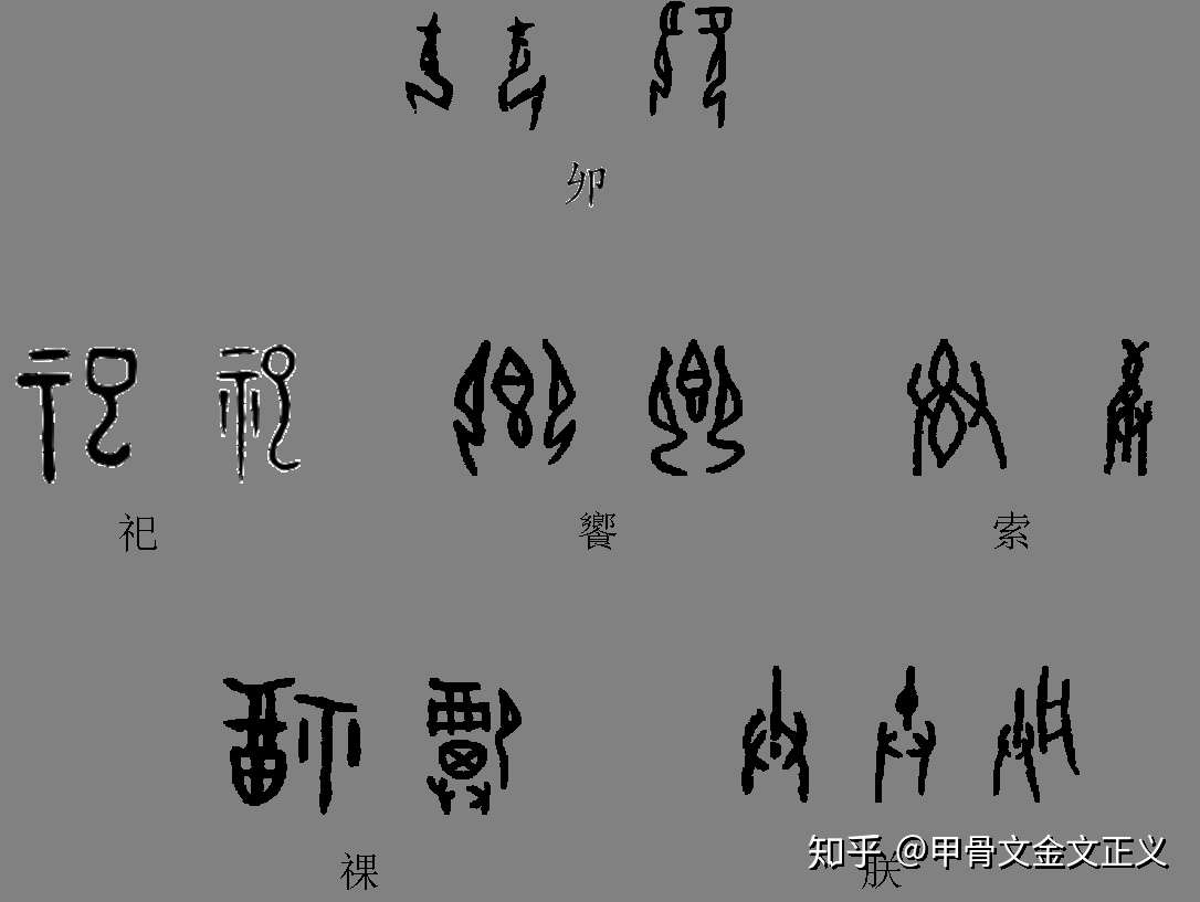 子 巳 考释 儿子之子为何又是尊称 子 巳为何同字 知乎