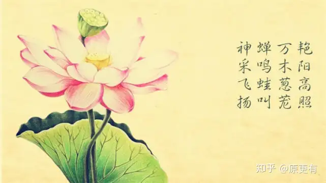 一年中最重要的8个节气之一！夏至的含义知多少？