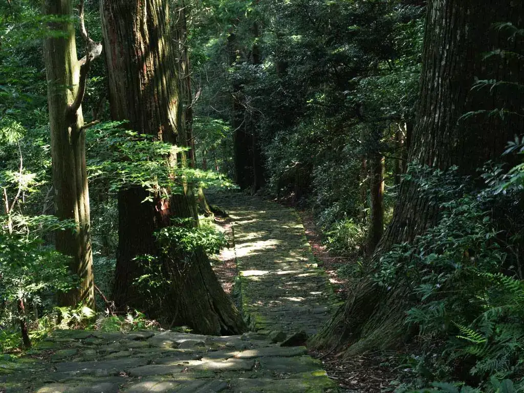 日本熊野古道 探寻藏在秘境之中的朝圣之路 知乎