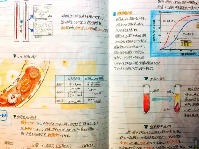 东大教你当学霸令人惊叹的笔记- 知乎