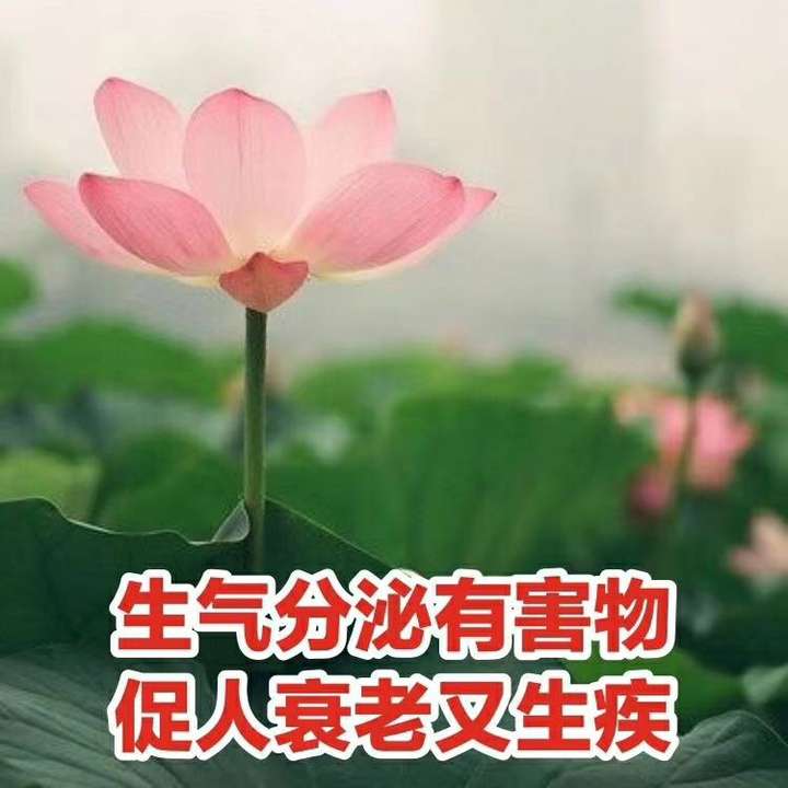 不要生气不要难过,平常心对待就可以.